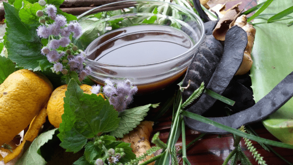 Dầu gội dược liệu 