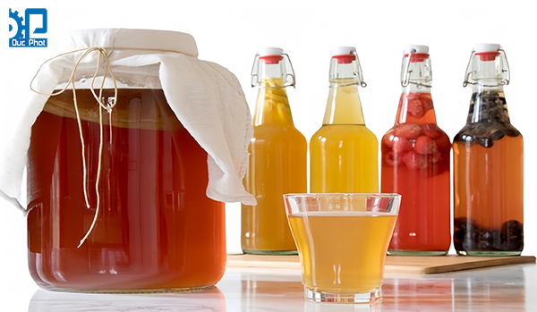 Kombucha giúp diệt vi khuẩn có hại