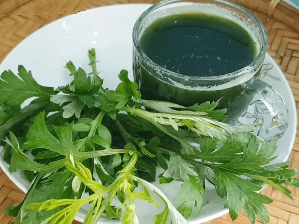 Trà ngải cứu