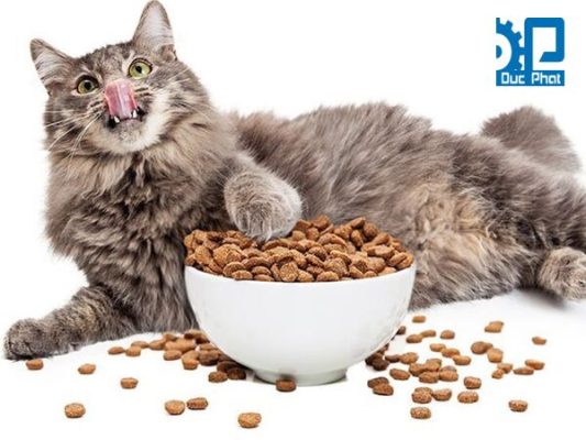Quy trình sản xuất thức ăn cho mèo