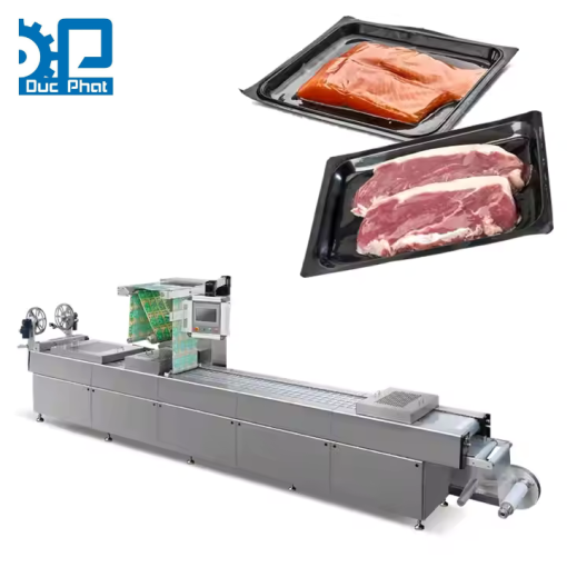 Máy đóng khay thịt hút chân không tự động